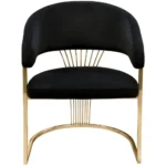 Luxury Modern Accent Chair with Gold Metal Frame - Image 13
